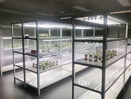 鋼木實驗臺與全鋼實驗臺有什么區(qū)別？